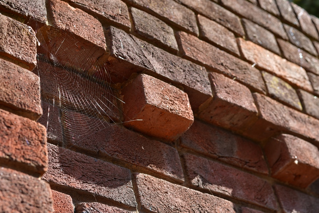 2018-07-21 Canterbury/DSC_2418.JPG